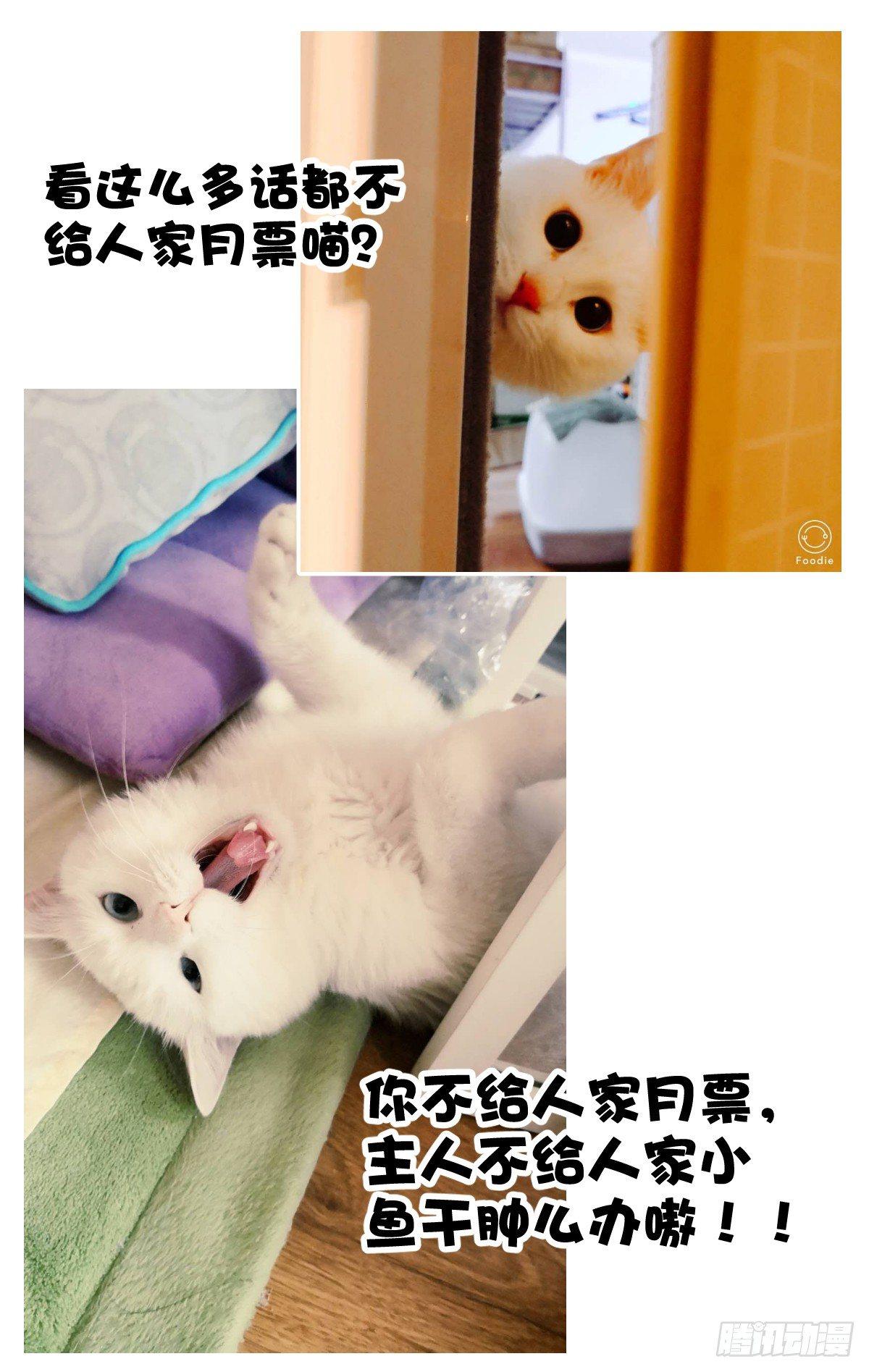 《我的店长不是人》9.男扮男装萌混过关！ 第19页