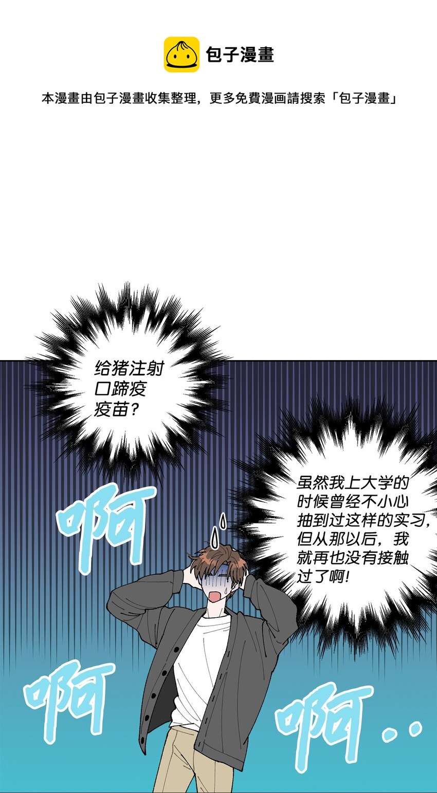 《偶然的田园日记》05 怎么给猪打疫苗啊？ 第1页