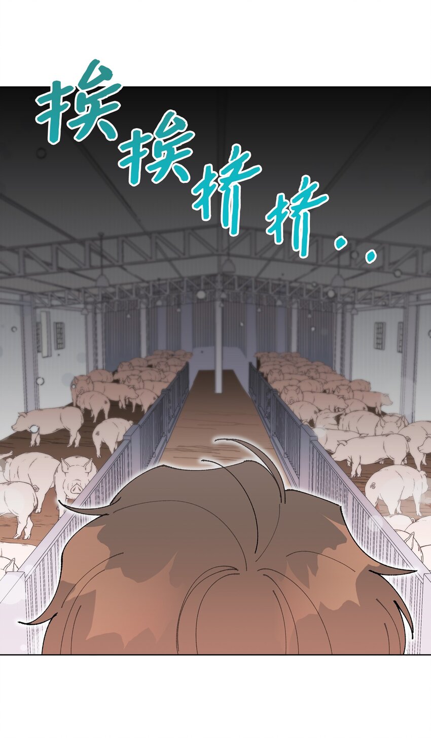 《偶然的田园日记》05 怎么给猪打疫苗啊？ 第26页