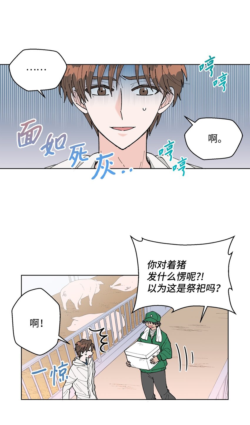 《偶然的田园日记》05 怎么给猪打疫苗啊？ 第27页