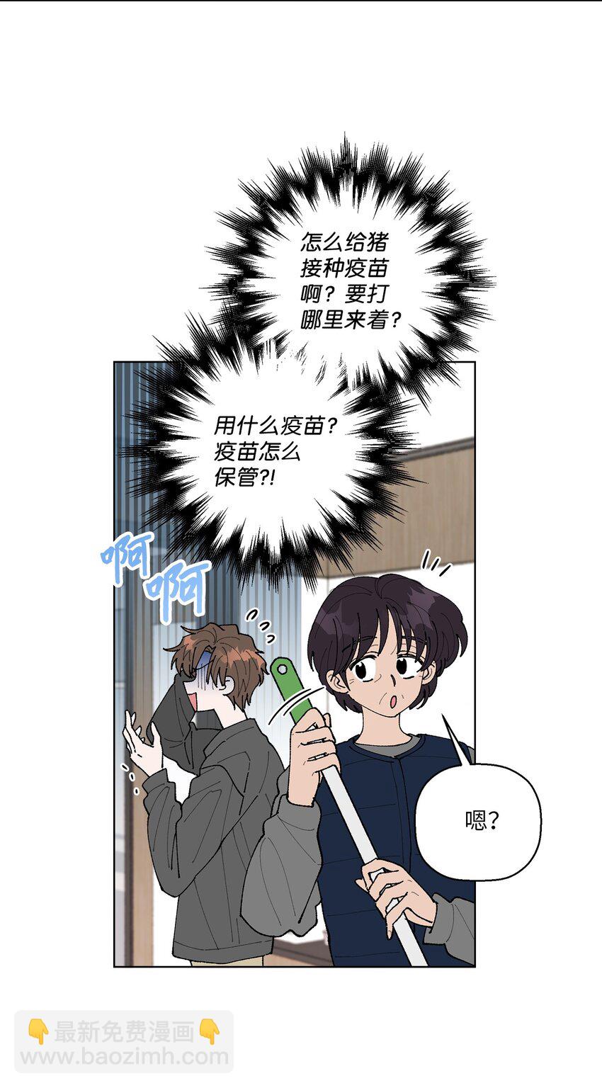 《偶然的田园日记》05 怎么给猪打疫苗啊？ 第2页