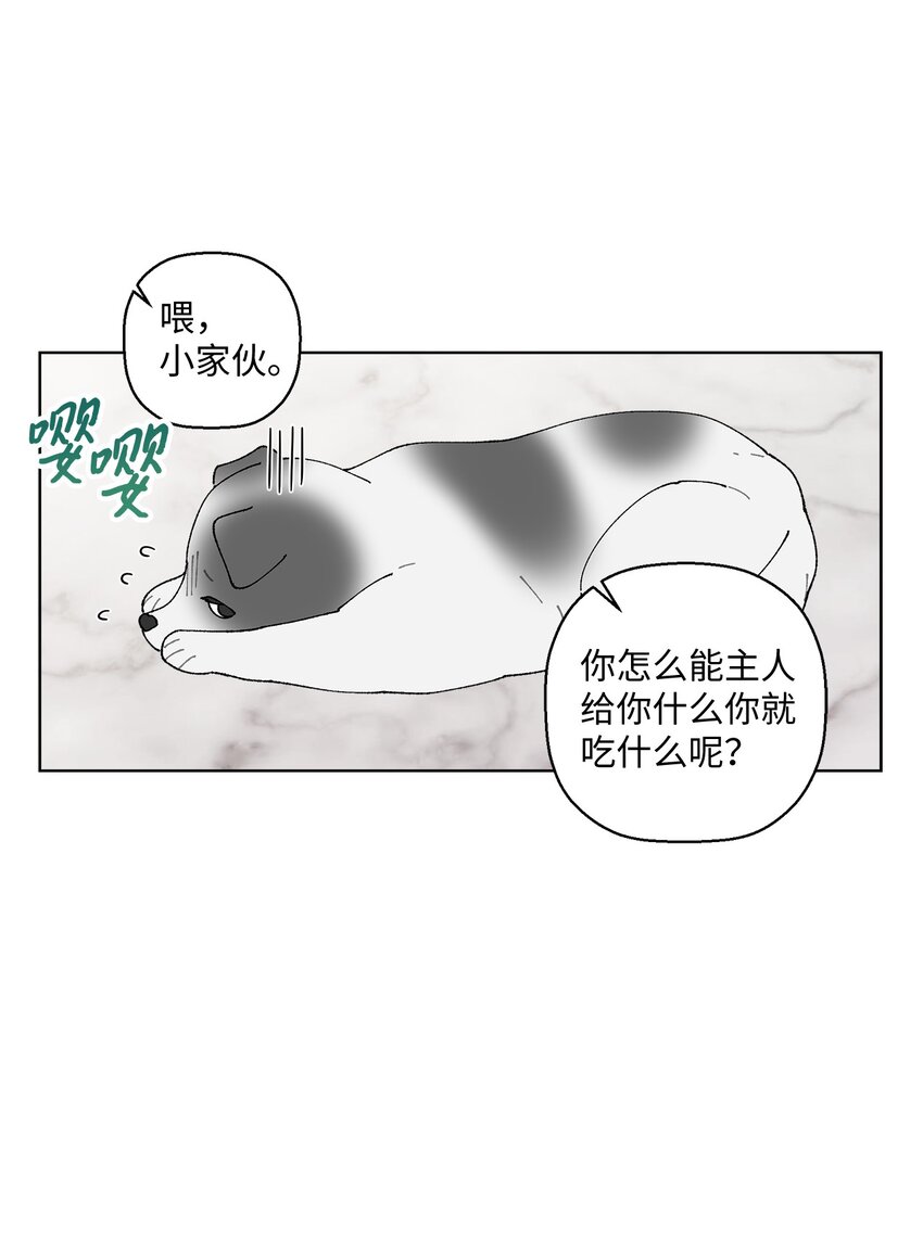《偶然的田园日记》09 夜路 第5页