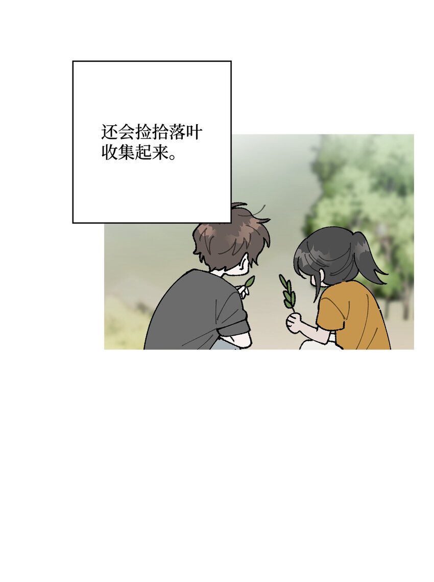 《偶然的田园日记》25 逛植物园 第34页