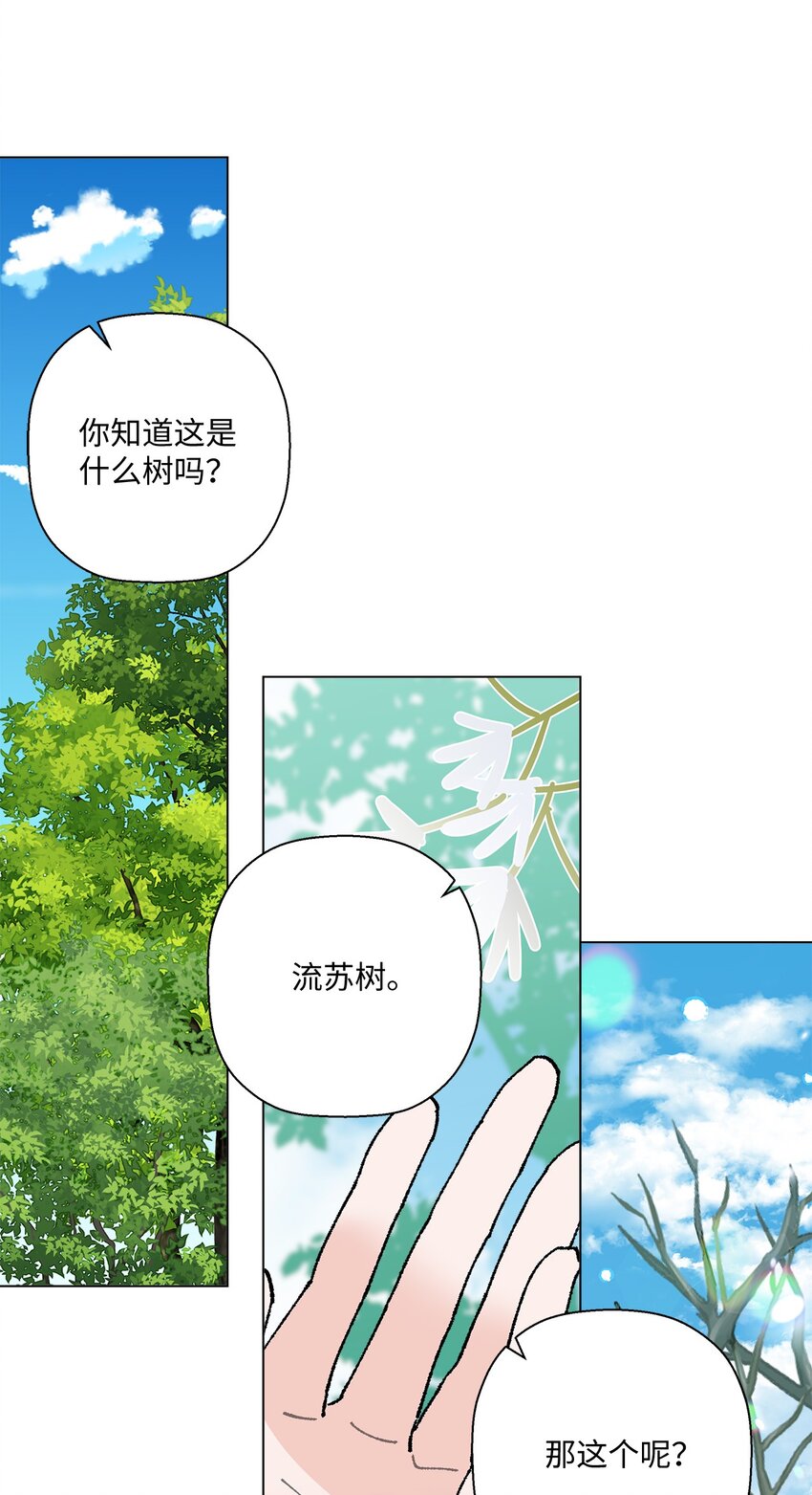 《偶然的田园日记》25 逛植物园 第48页