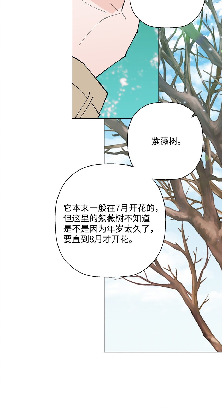 《偶然的田园日记》25 逛植物园 第49页