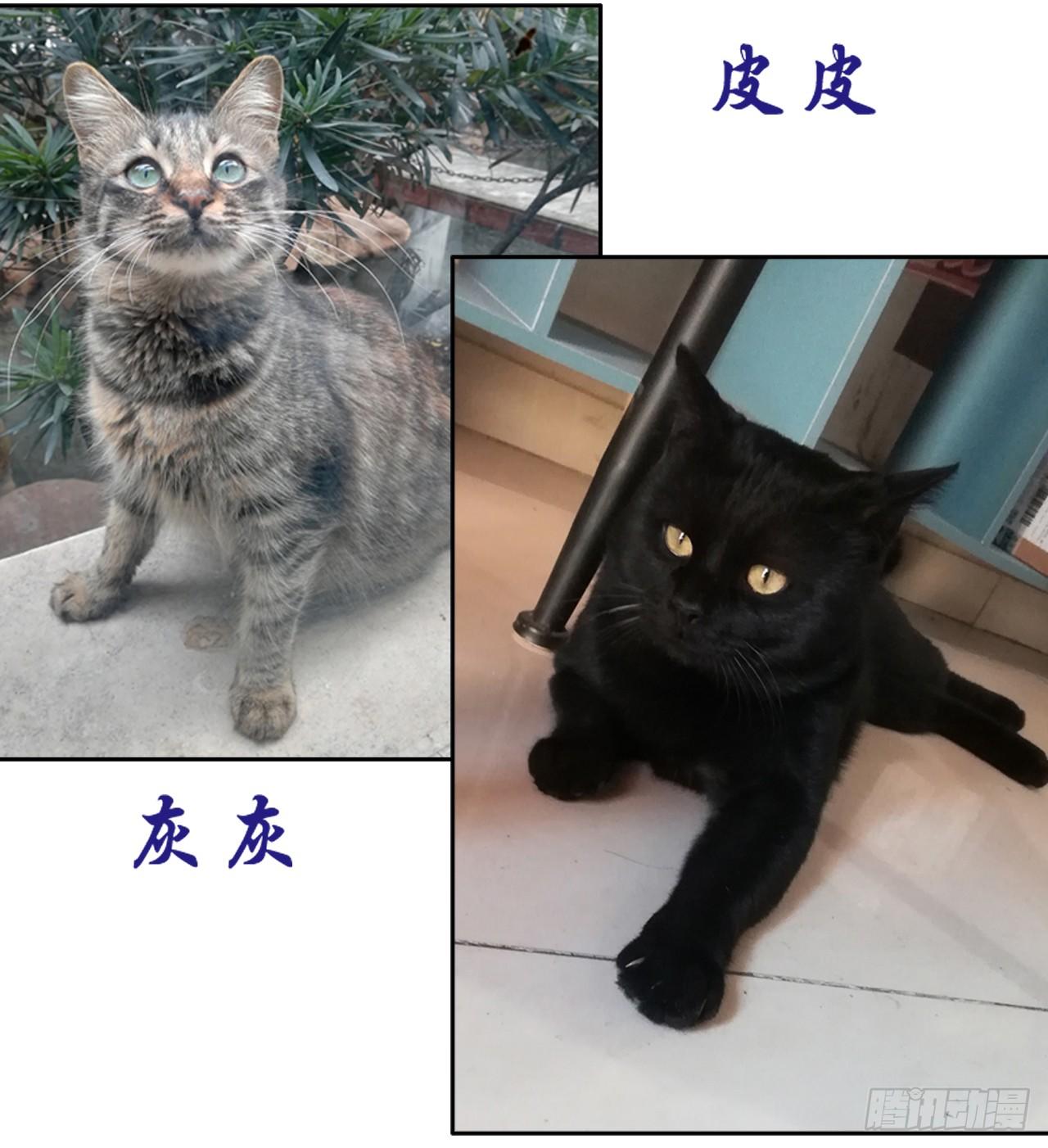 《重生之老子是皇帝》劫财杀人，苍生何辜 第30页