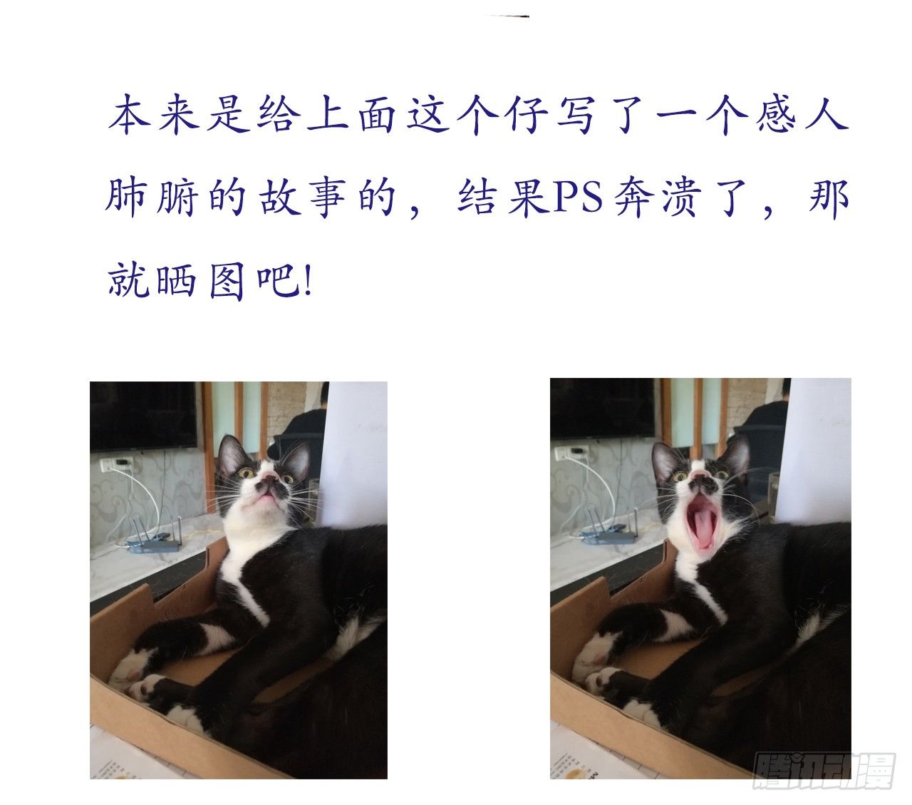 《重生之老子是皇帝》逼杀杨仪洞 第35页