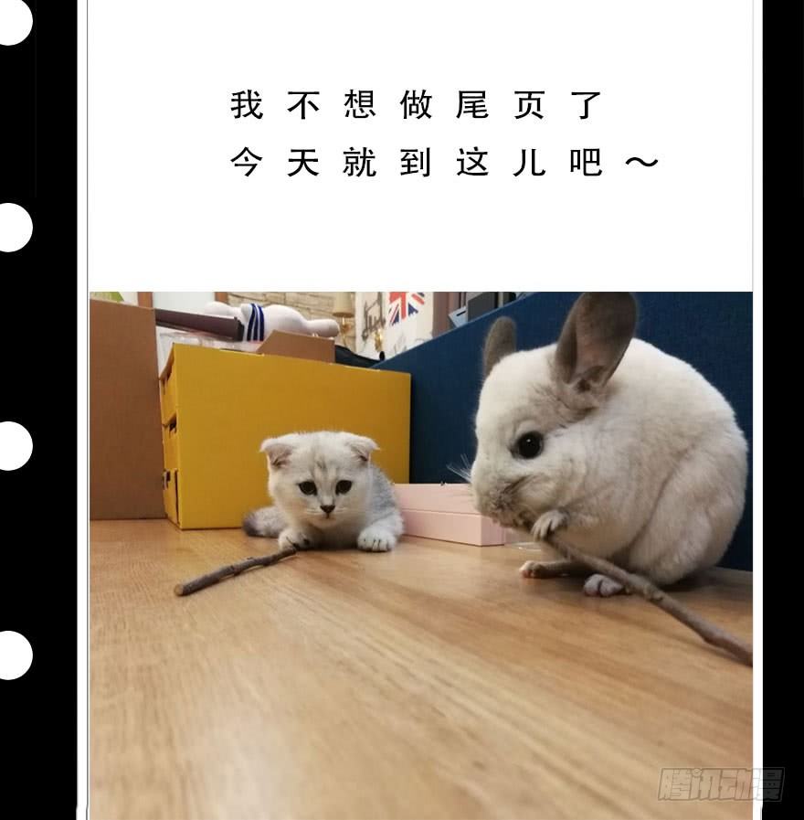 《重生之老子是皇帝》神龙显灵 第50页