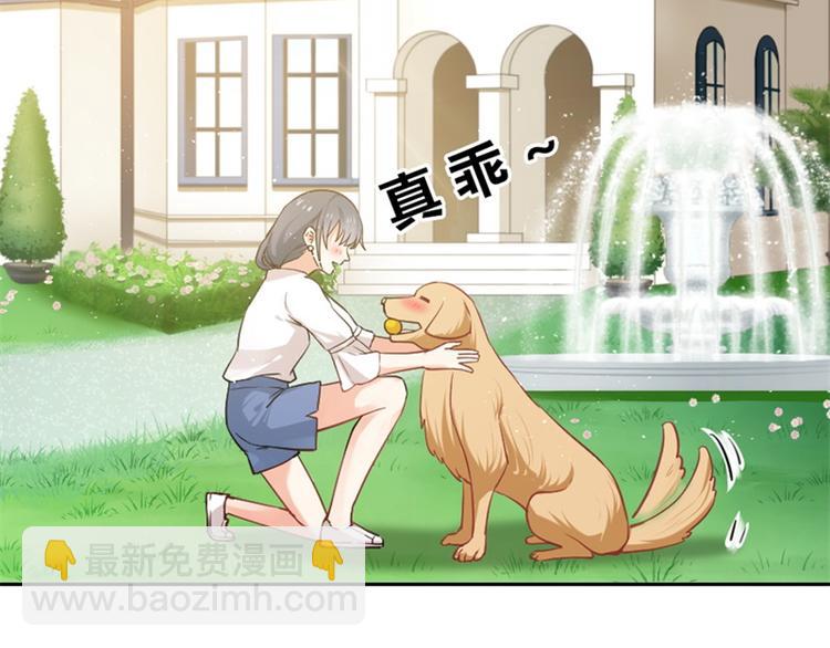 《隐婚新娘》第3话 你是猪吗？ 第12页