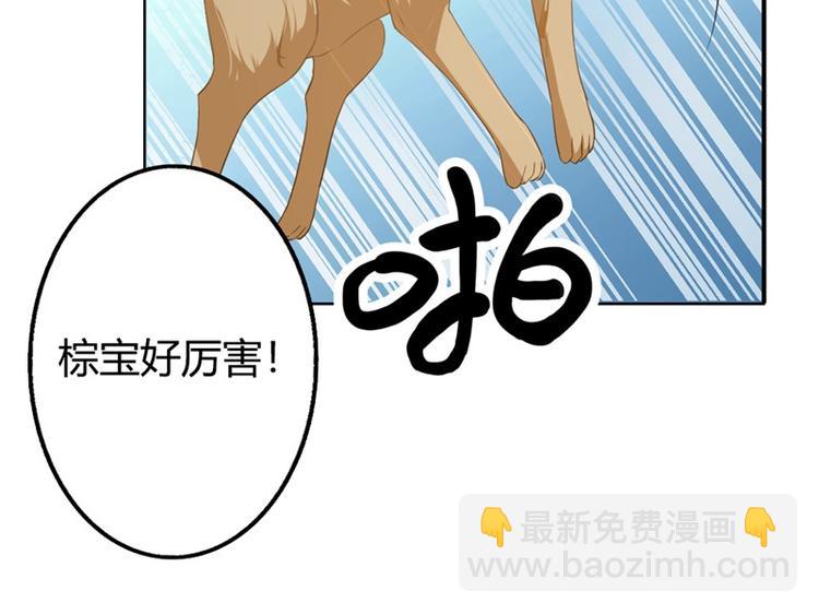 《隐婚新娘》第3话 你是猪吗？ 第8页