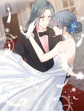 《隐婚新娘》漫画封面图 - tl漫画