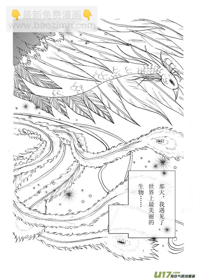 《凤弄》第一章 第一节 第4页