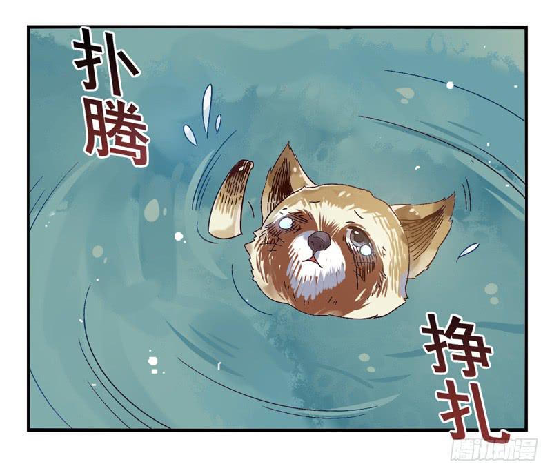 《面具屋》第44话四叶草面具01 第14页