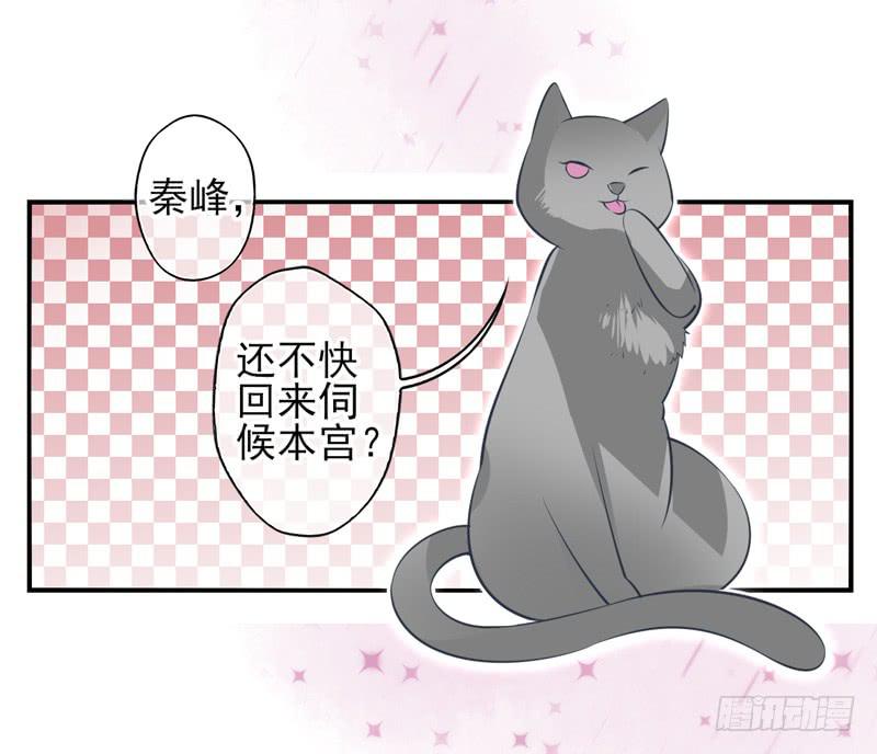 《面具屋》第58话镜界面局05 第8页