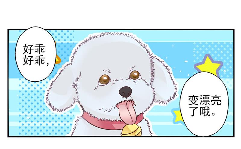 《面具屋》第57话镜界面局04 第2页