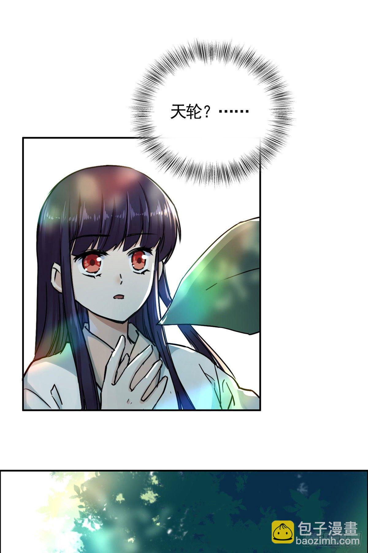 《天命为凰》07 天轮 第48页