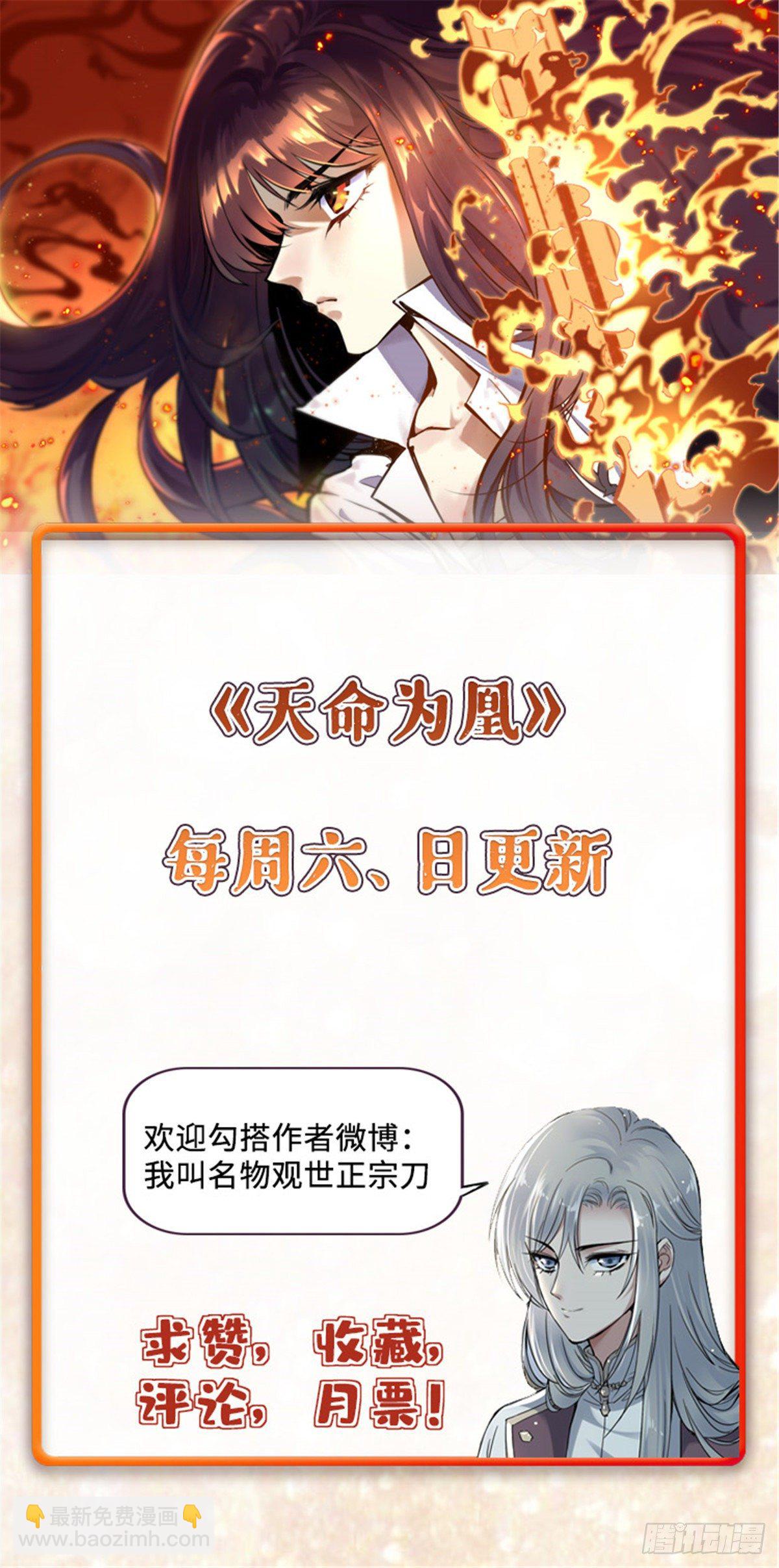 《天命为凰》09 初识天轮 第31页