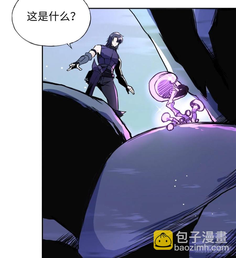 《天命为凰》48 幼兽 第18页