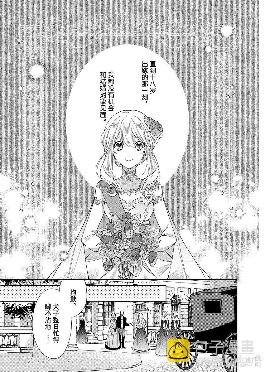 《有特殊情况的大小姐现在深受宠爱很是幸福作品集》12 我的婚姻是一场分居婚姻 第3页
