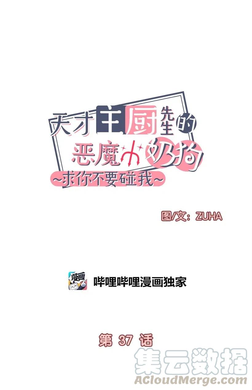 《天才主厨先生的恶魔小奶狗-求你不要碰我-》37 我想一直对你好 第5页
