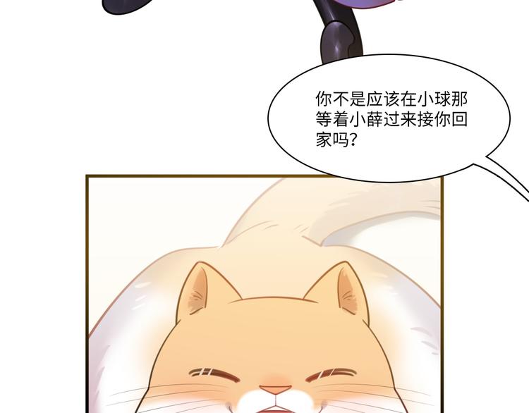 《最美好的她》第33话 特别邀请 第49页