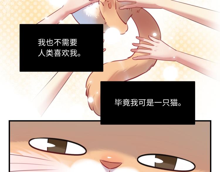 《最美好的她》番外3奇怪的人温暖的人 第11页