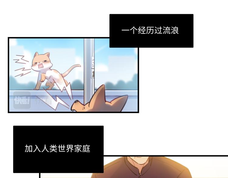 《最美好的她》番外3奇怪的人温暖的人 第13页
