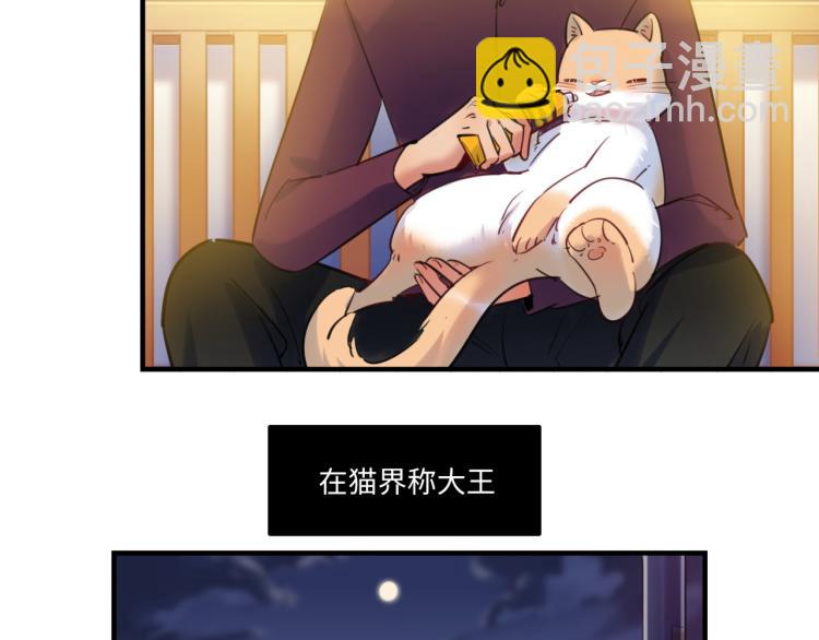 《最美好的她》番外3奇怪的人温暖的人 第14页