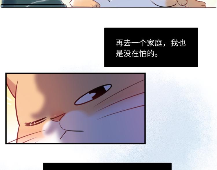 《最美好的她》番外3奇怪的人温暖的人 第17页