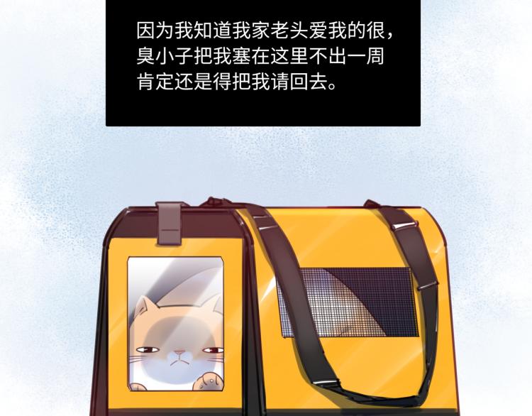 《最美好的她》番外3奇怪的人温暖的人 第18页