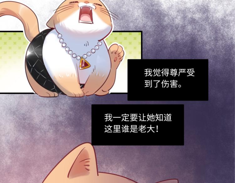 《最美好的她》番外3奇怪的人温暖的人 第31页