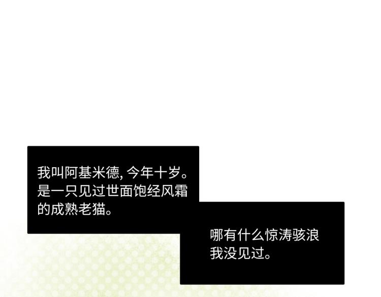 《最美好的她》番外3奇怪的人温暖的人 第6页