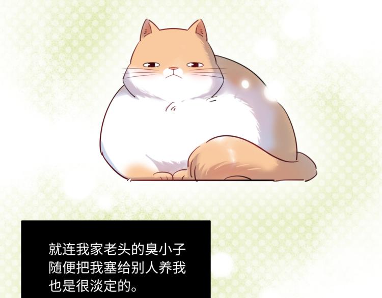 《最美好的她》番外3奇怪的人温暖的人 第7页