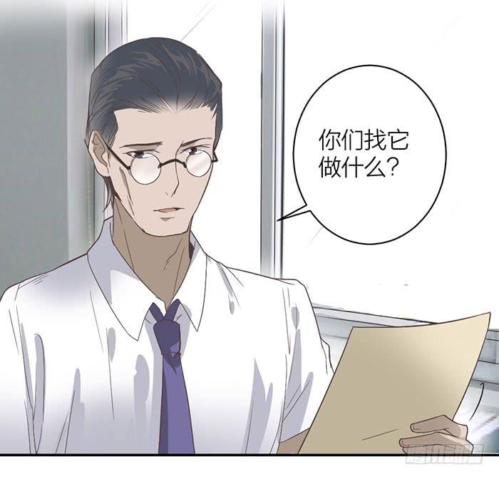《古董恋爱指南》第18话 鬼市寻宝 第18页