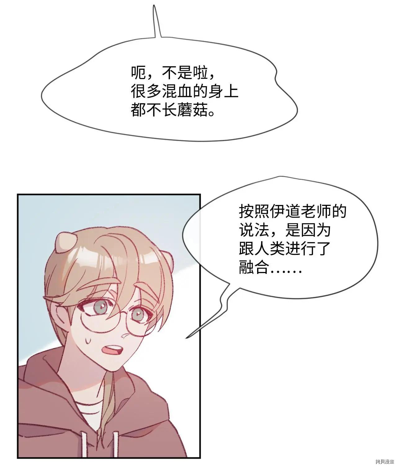《Mushroom Soup 蘑菇汤》第12话 第28页