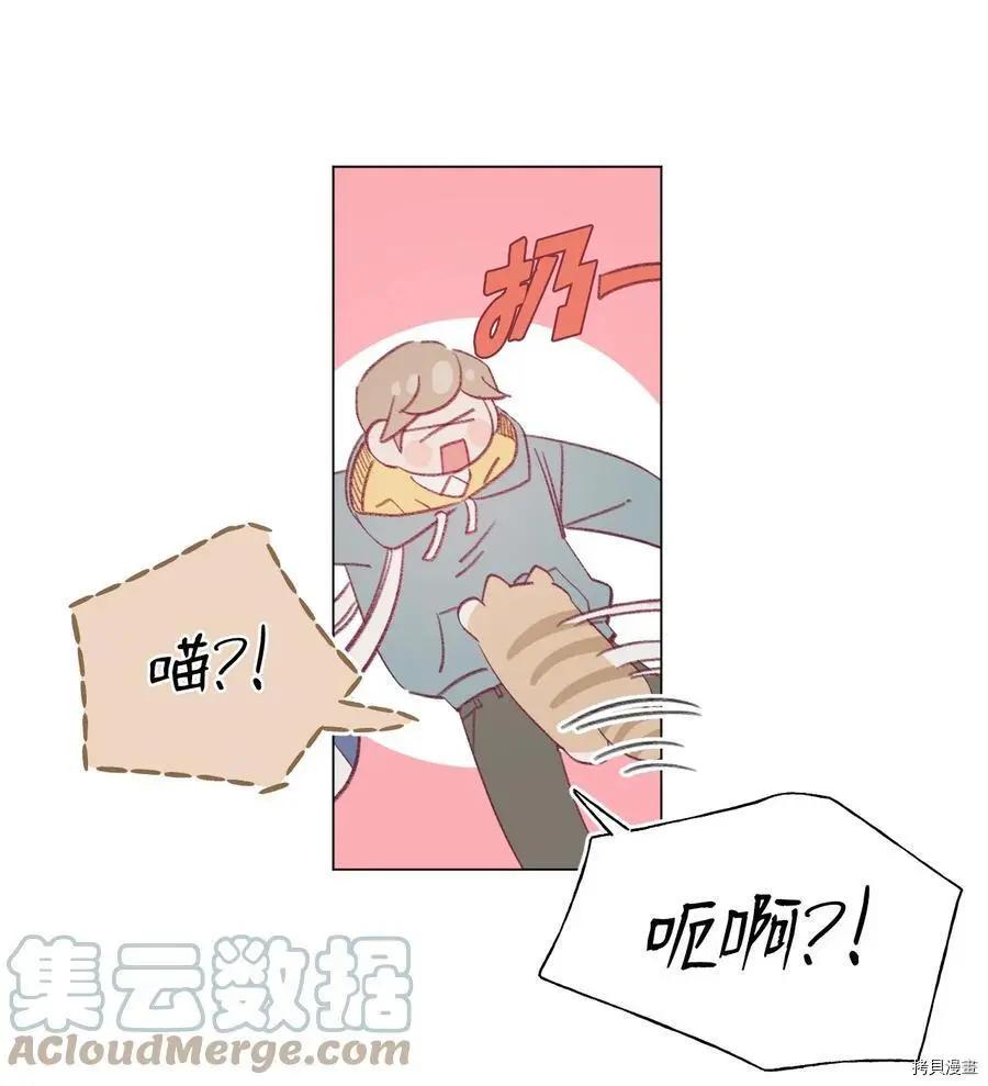 《Mushroom Soup 蘑菇汤》第65话 第19页