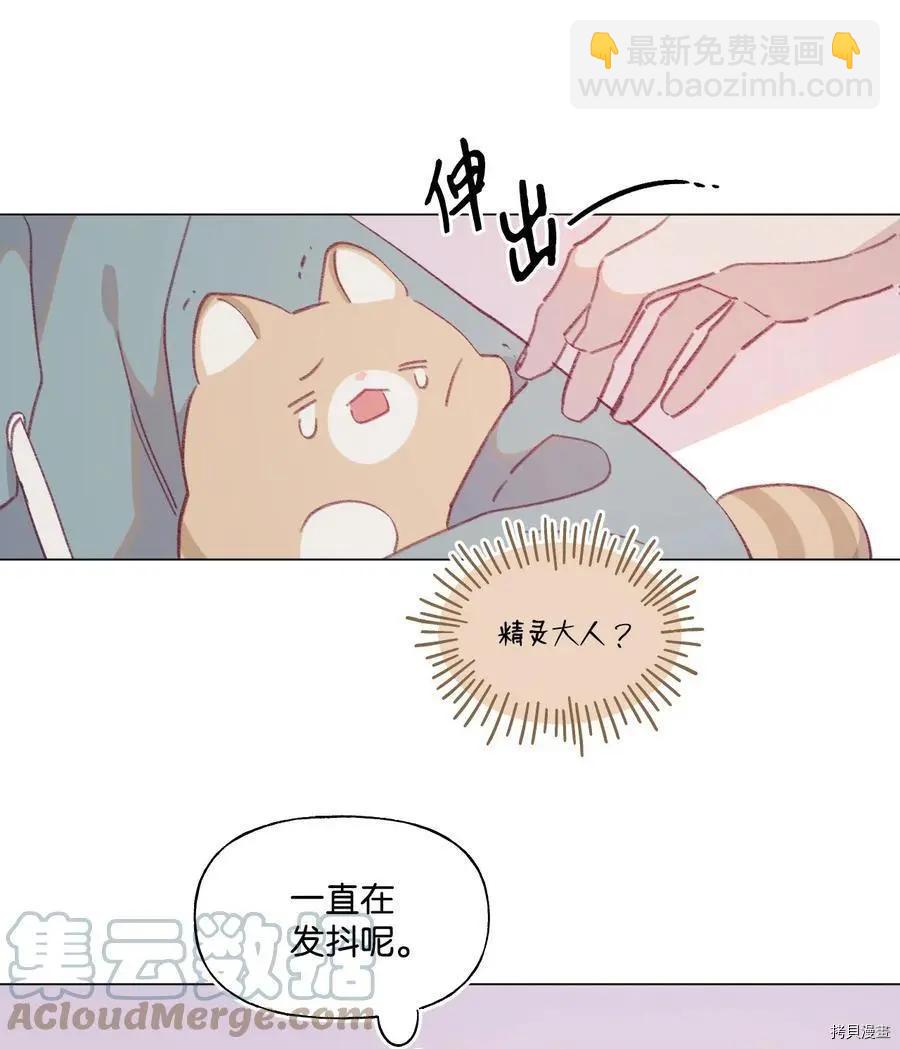 《Mushroom Soup 蘑菇汤》第66话 第11页