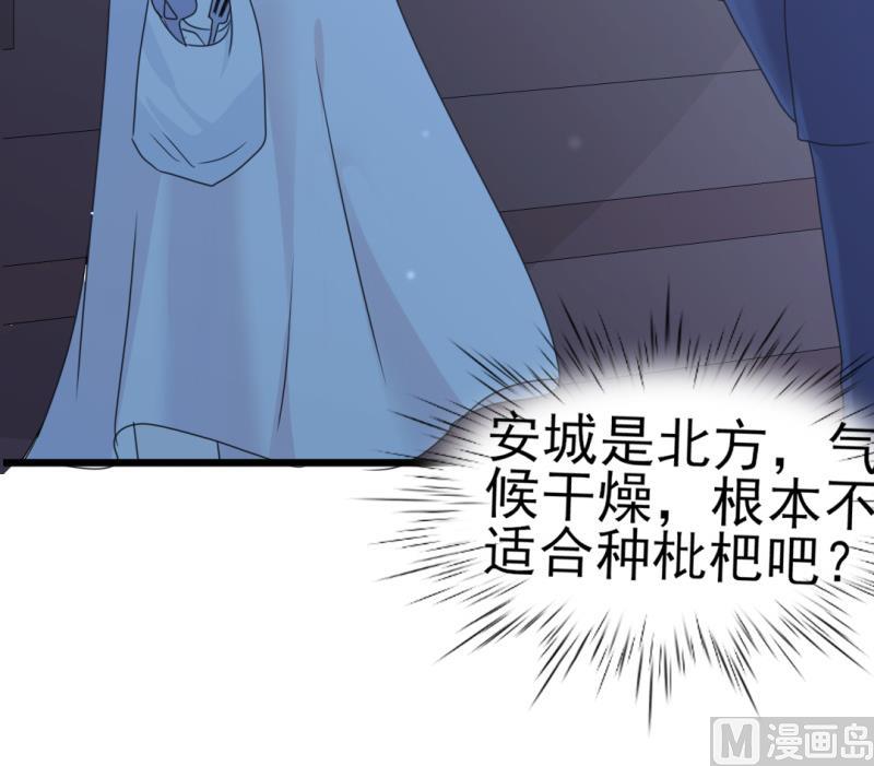 《傲娇男神狂恋妻》第34话 庭有枇杷树 第13页