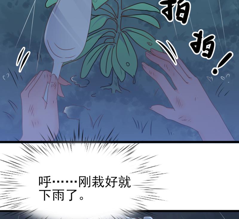 《傲娇男神狂恋妻》第34话 庭有枇杷树 第40页