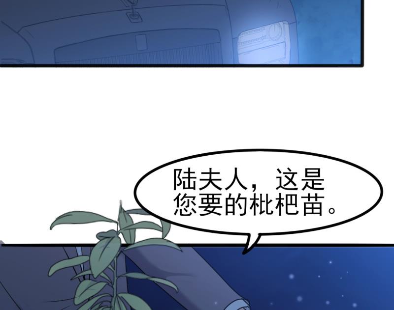 《傲娇男神狂恋妻》第34话 庭有枇杷树 第9页