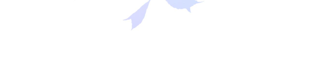 《拒做黑龙的囚爱新娘》第42话 追求者！ 第17页