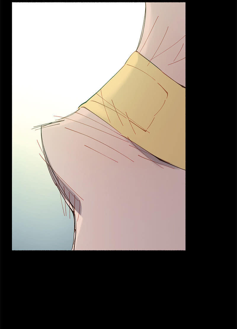 《少女与流星》投票 第41页