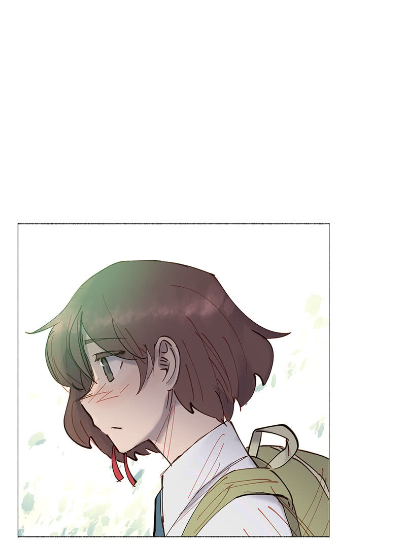 《少女与流星》传闻中的我 第5页