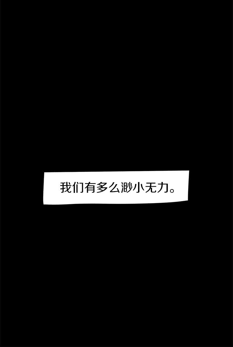 《少女与流星》做两肋插刀的朋友 第48页