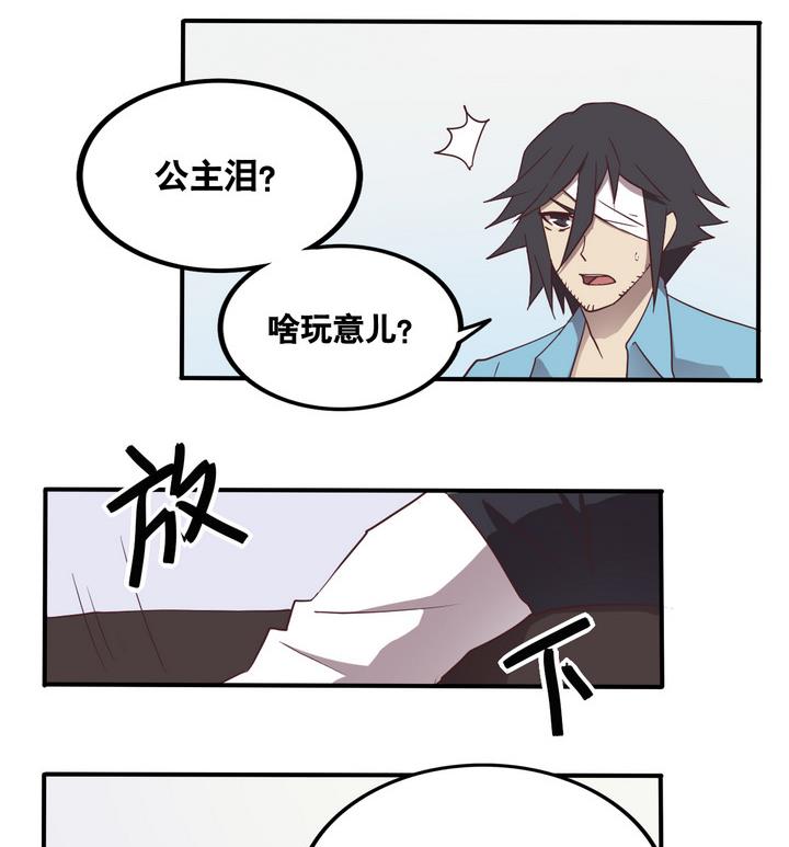 《危险者的游戏》第54话 公主泪 上 第29页