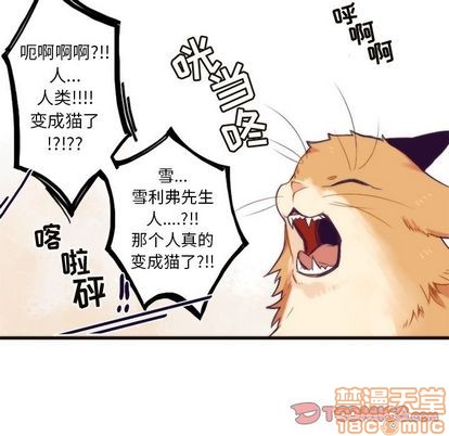 《神父的病历簿》第19话 第25页