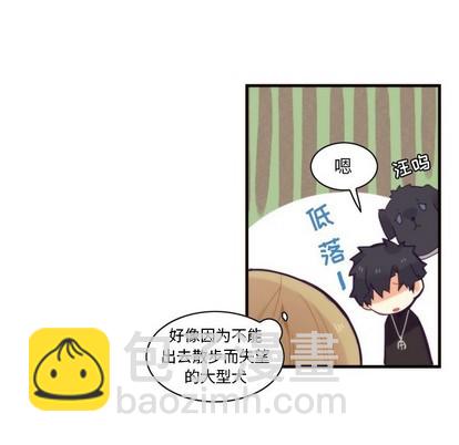 《神父的病历簿》第53话 第49页