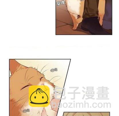 《神父的病历簿》第76话 第5页