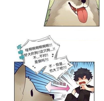 《神父的病历簿》第84话 第22页
