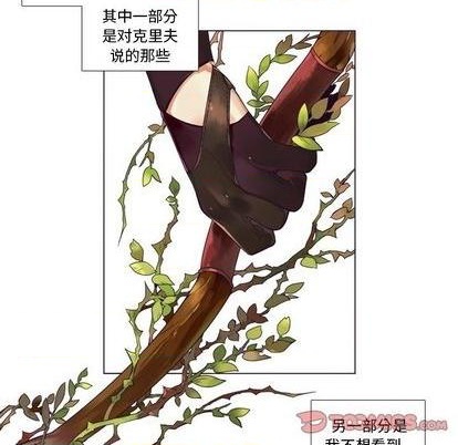 《神父的病历簿》第81话 第13页